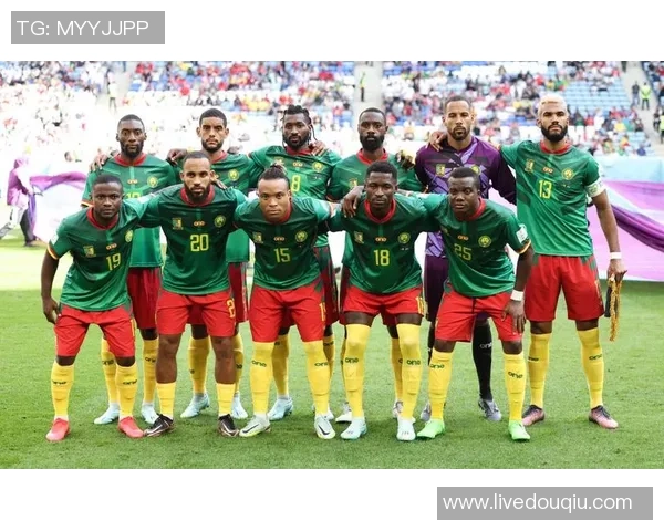 中国与喀麦隆足球比赛精彩全场录像回放及精彩瞬间分析